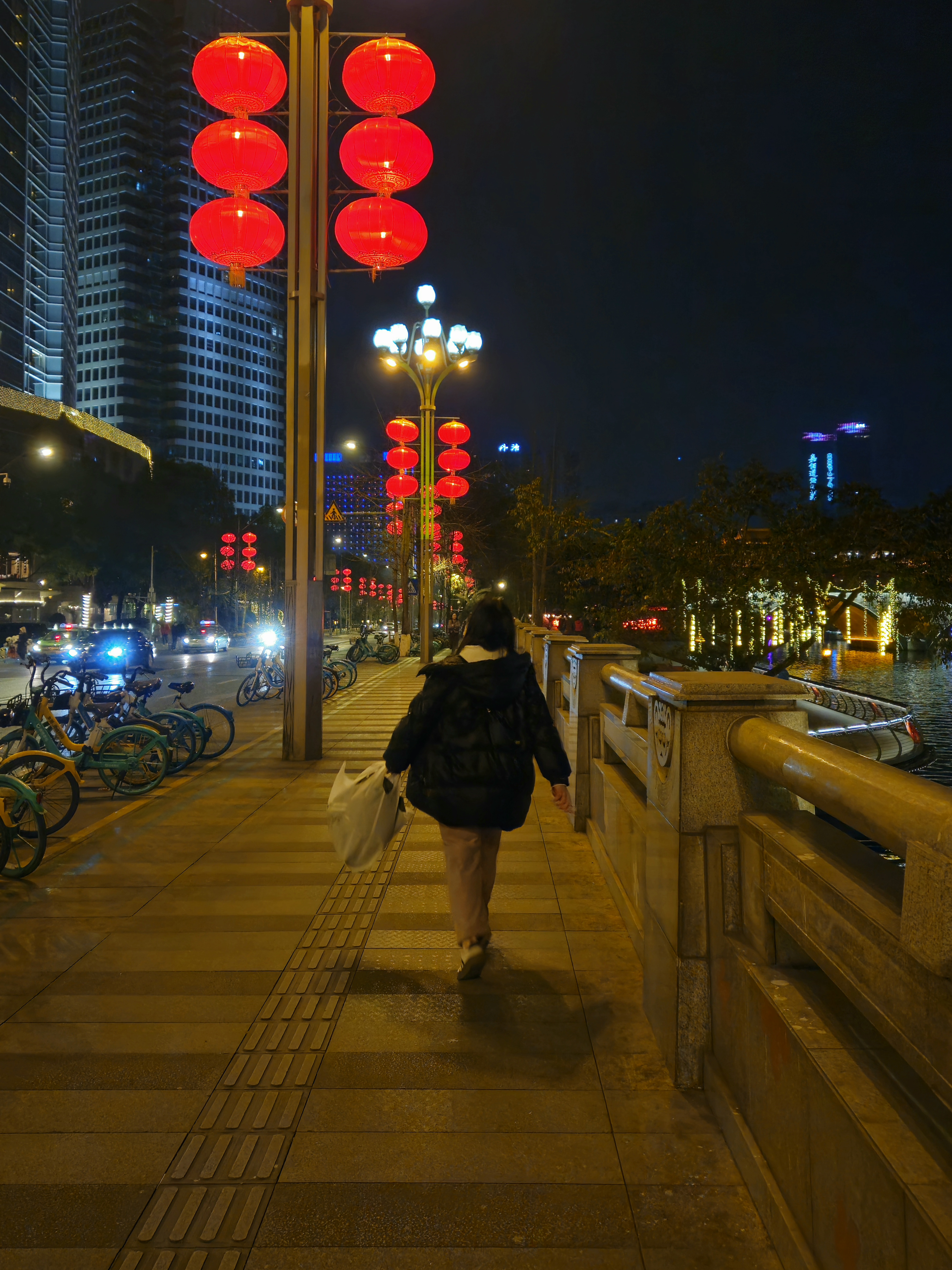 anshun bridge